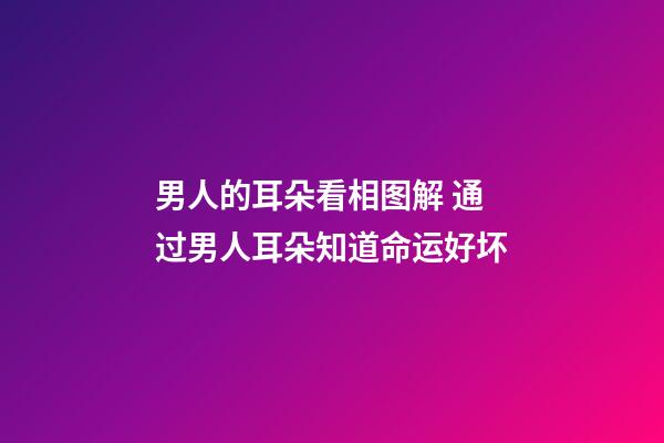 男人的耳朵看相图解 通过男人耳朵知道命运好坏